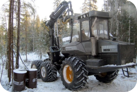 Фото лесозаготовки