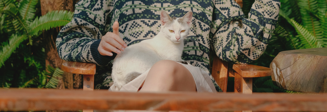 Обложка видео