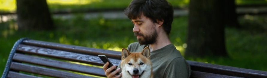 Фото статьи